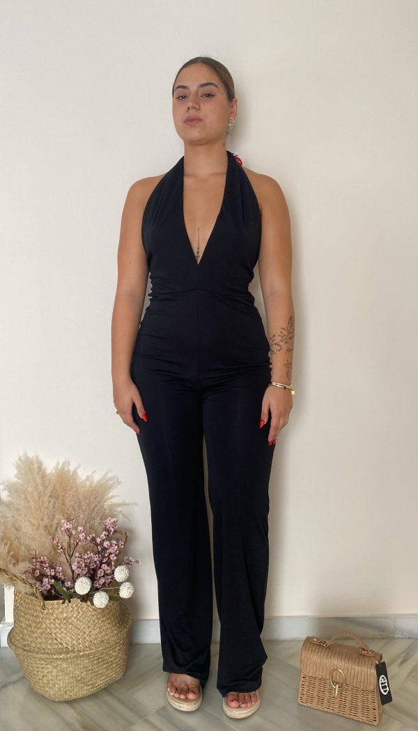 Mono negro atado al cuello