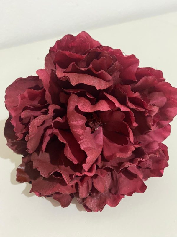 Peonía colores - Imagen 5