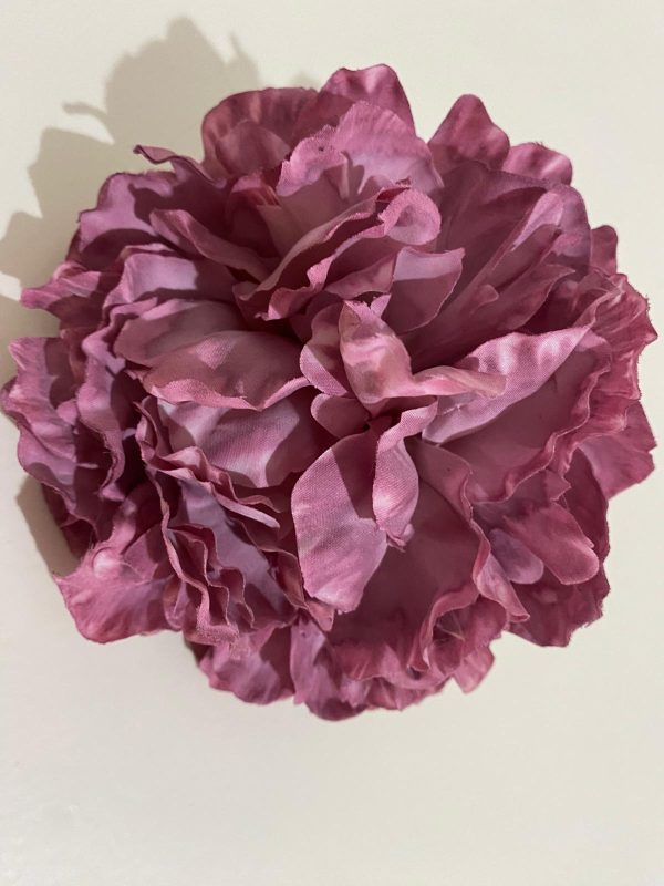 Peonía colores - Imagen 3