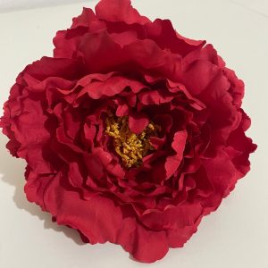 Peonía fucsia y roja