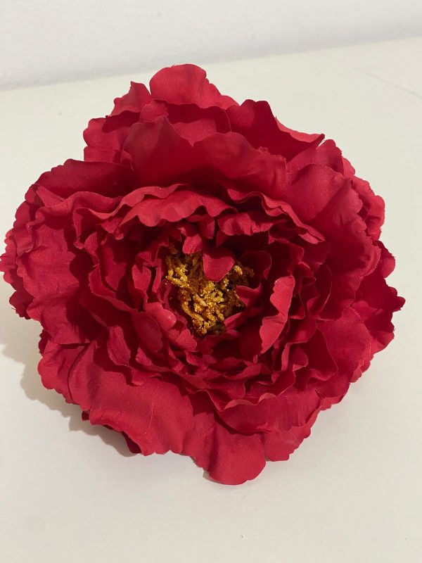 Peonía fucsia y roja