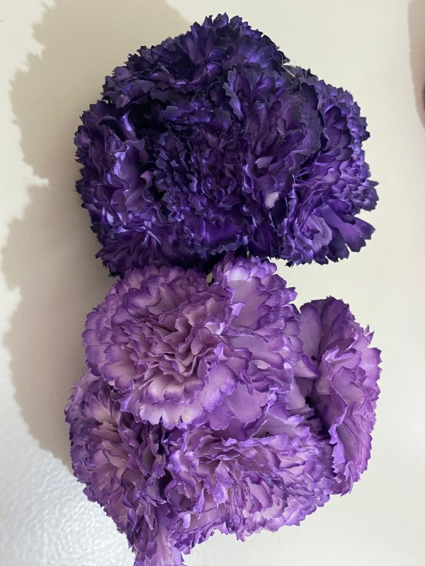 Ramillete de claveles - Imagen 15