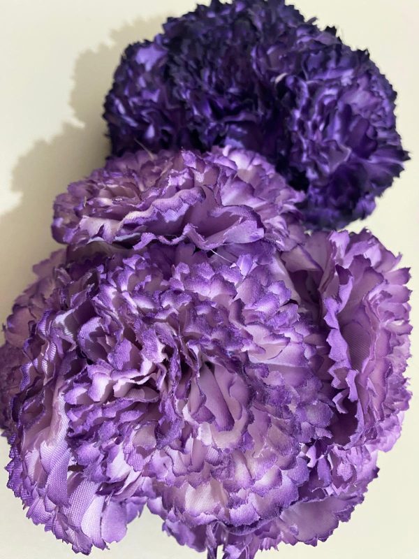 Ramillete de claveles - Imagen 13