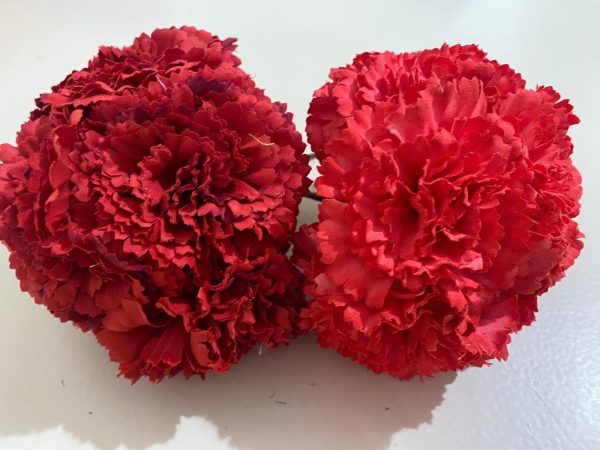 Ramillete de claveles - Imagen 11