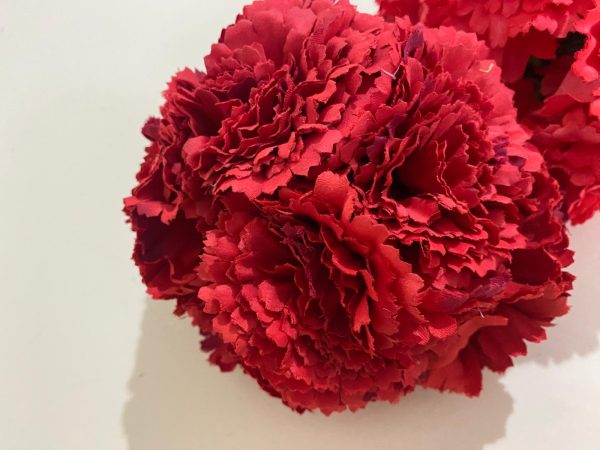 Ramillete de claveles - Imagen 10