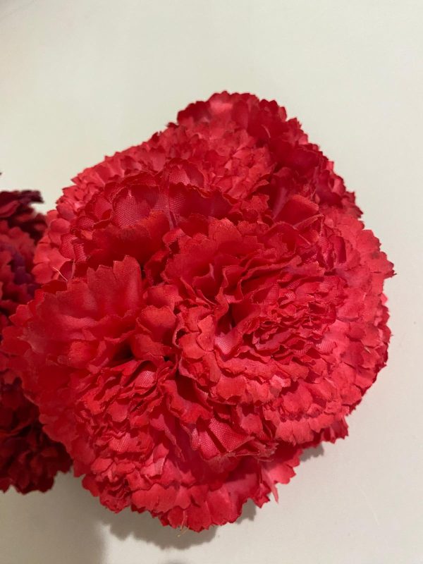 Ramillete de claveles - Imagen 9